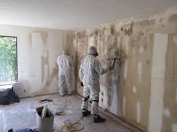 Forensic Mold Investigation in Cleona, PA